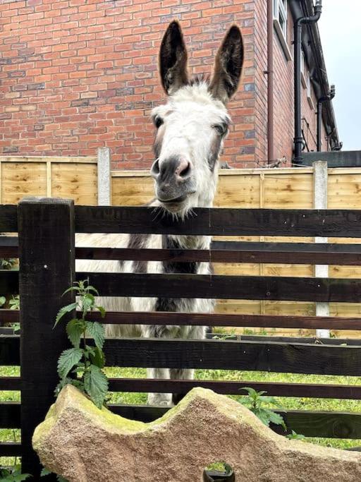 4 Bedroom - Sleep 9 Home In Cheadle Staffordshire - Alton Towers Polar Express Dimmingsdale Peak District Trentham Gardens Water World المظهر الخارجي الصورة